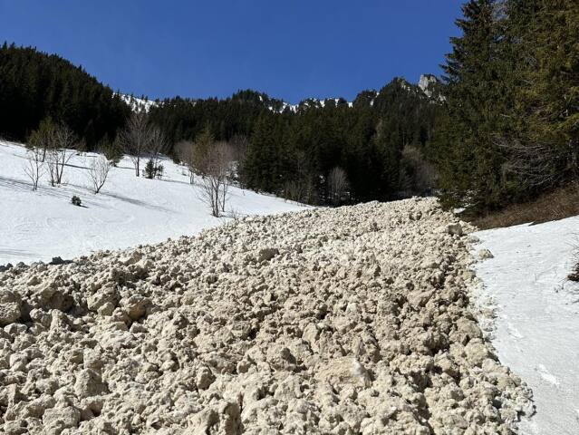 lavína tatry plesnivec