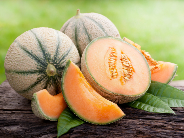 cukrový melón
