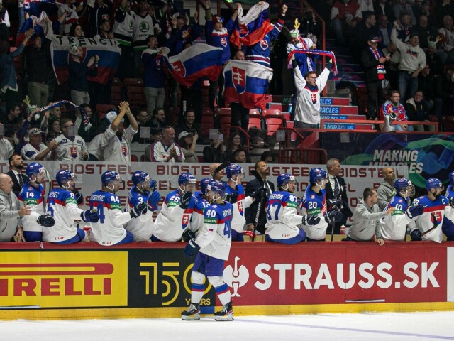 Slovenskí hokejisti