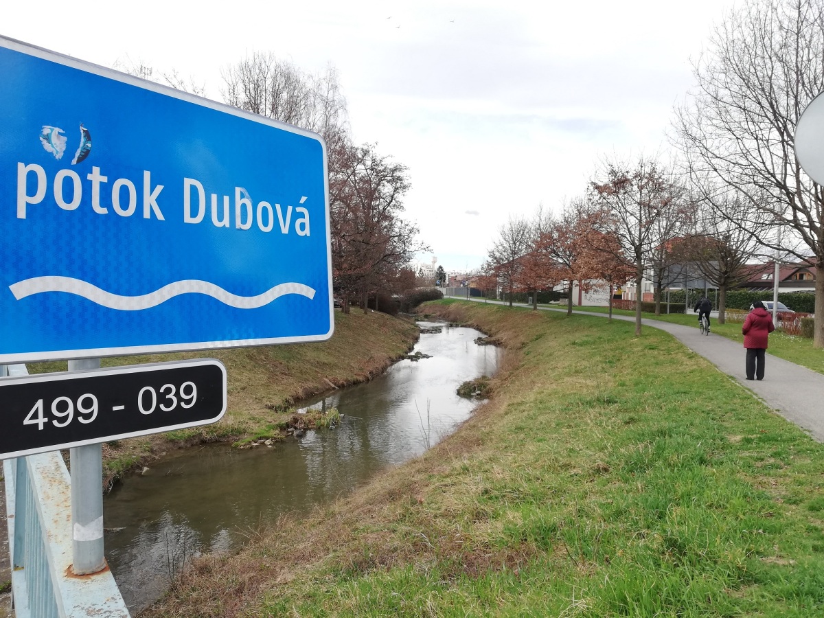 nutrie, Piešťany, potok Dubová