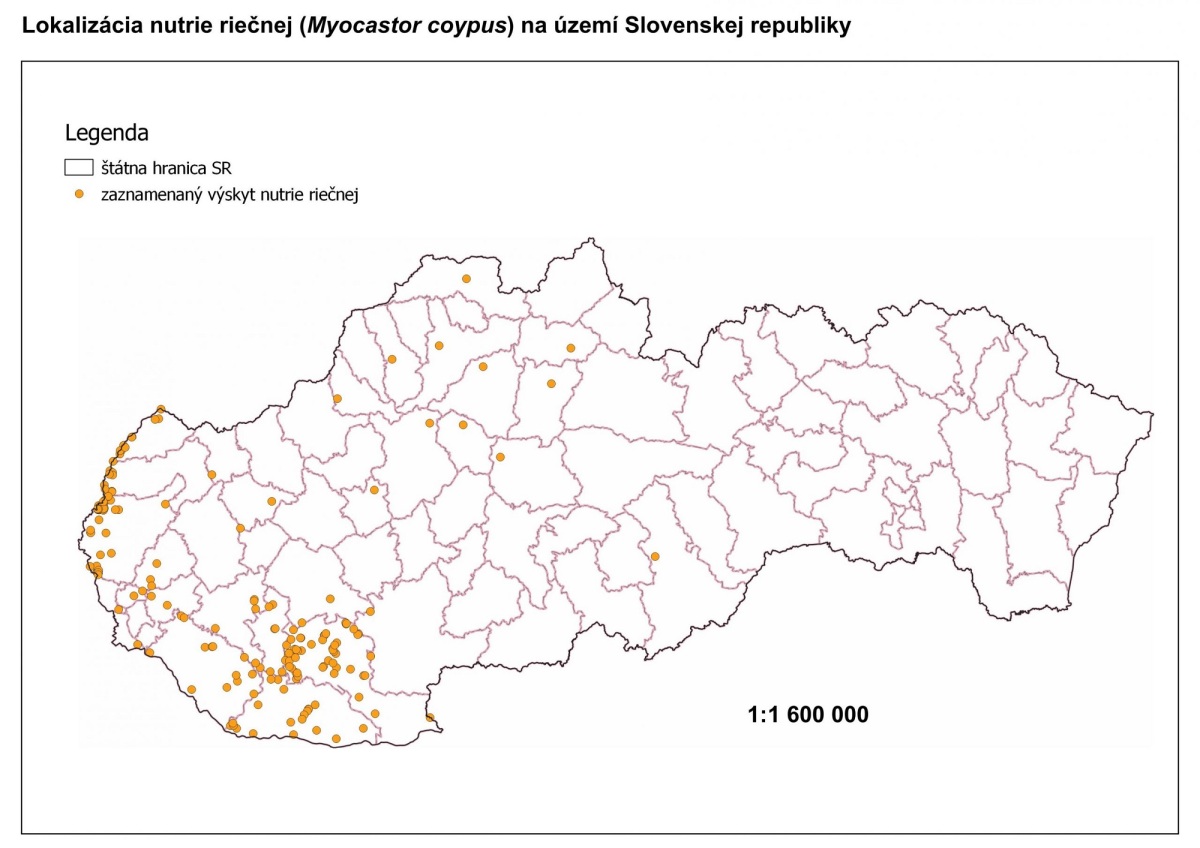 nutrie, rozšírenie, mapa, ŠOP