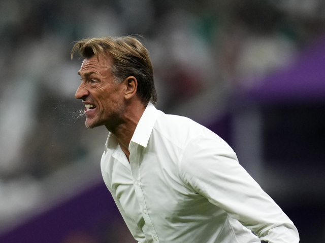 Herve Renard