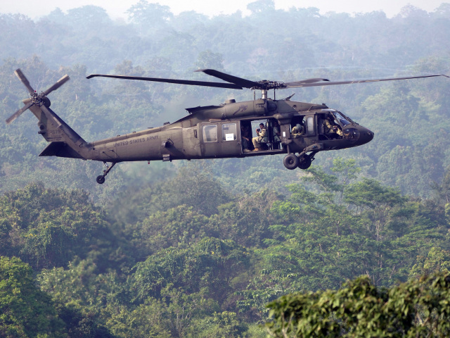 Black Hawk