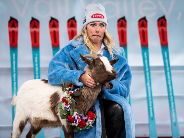 5 Shiffrin
