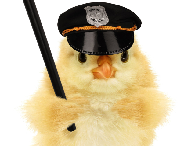 polícia, Veľká noc