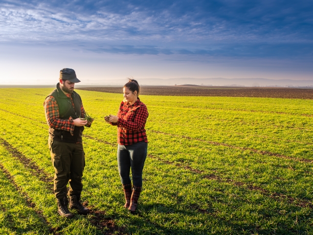 farmár, farma, pôda, poľnohospodár