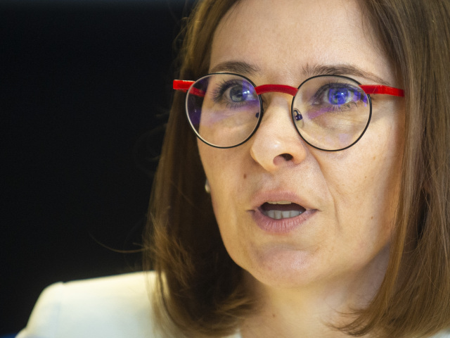 Dlugošová