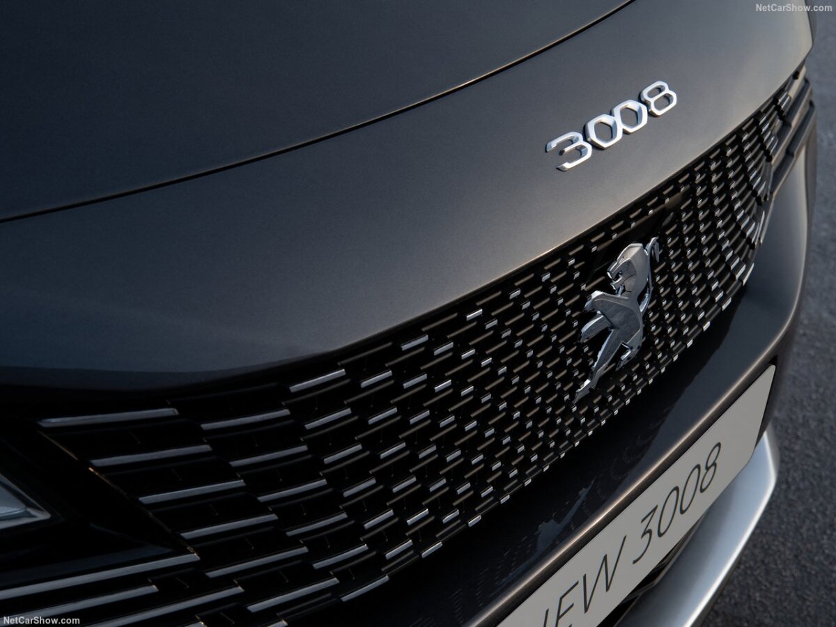 Peugeot-3008, pr, nepouzivat