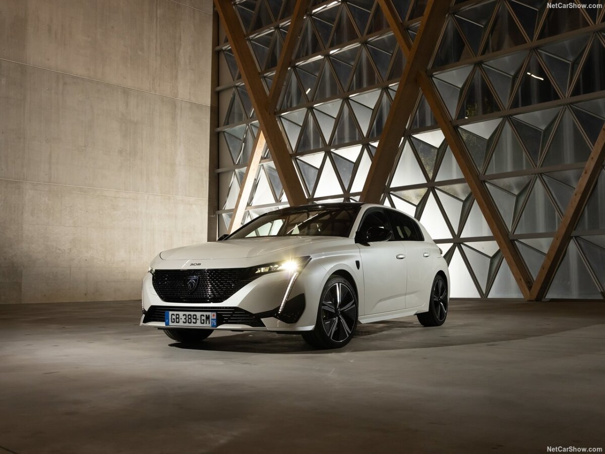 Peugeot-308, pr, nepouzivat