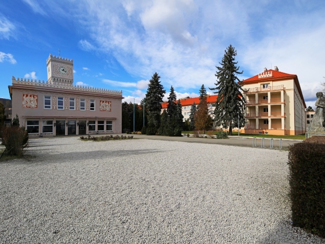 mladá garda