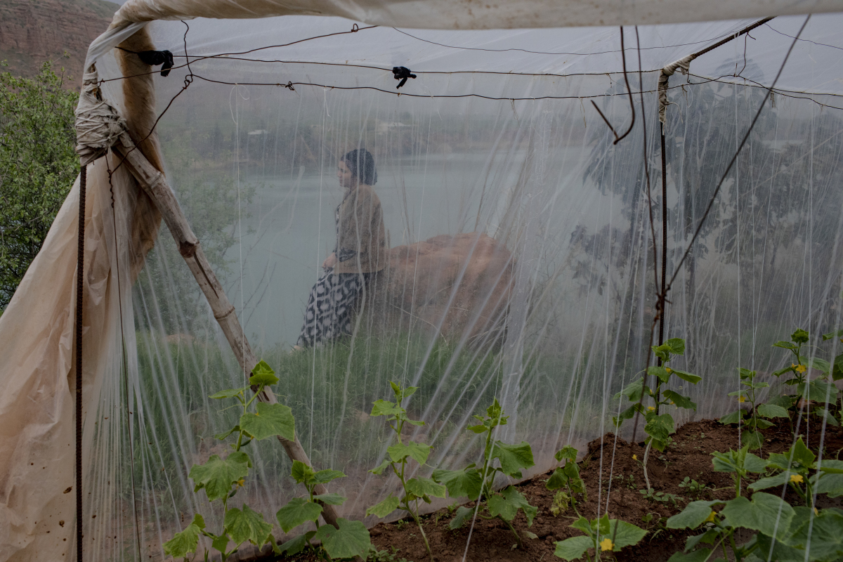 World Press Photo Anush Babajanyan
