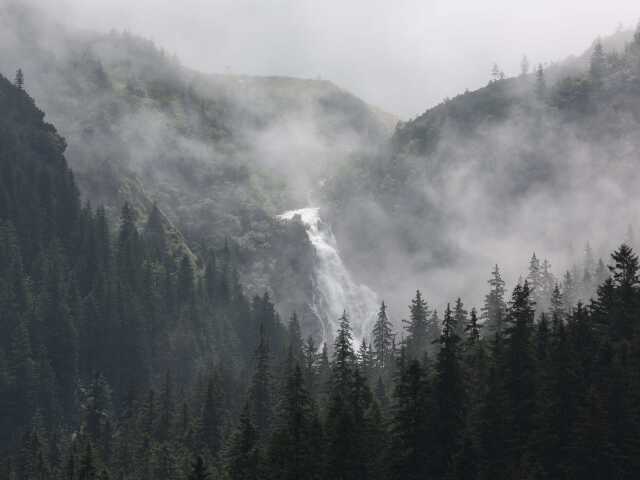 fagaras, rumunsko, divocina, prales