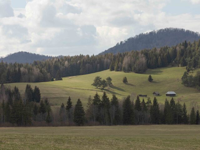 muranska planina, raniak velky