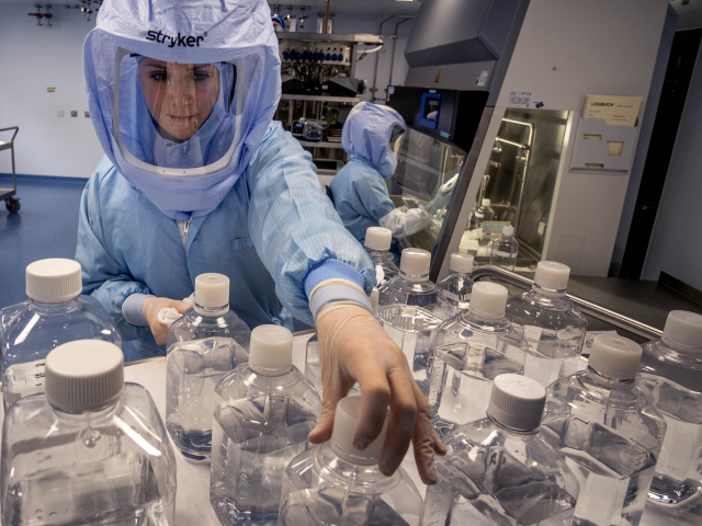 vírus, laboratórium