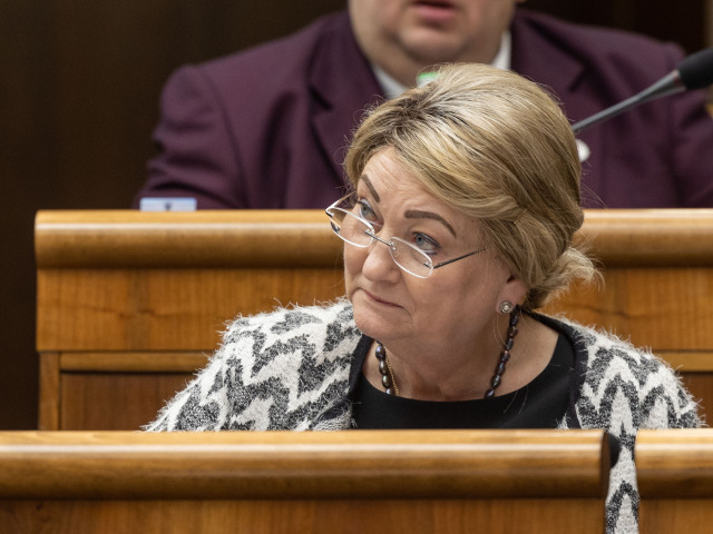 parlament, májová schôdza, Anna Záborská