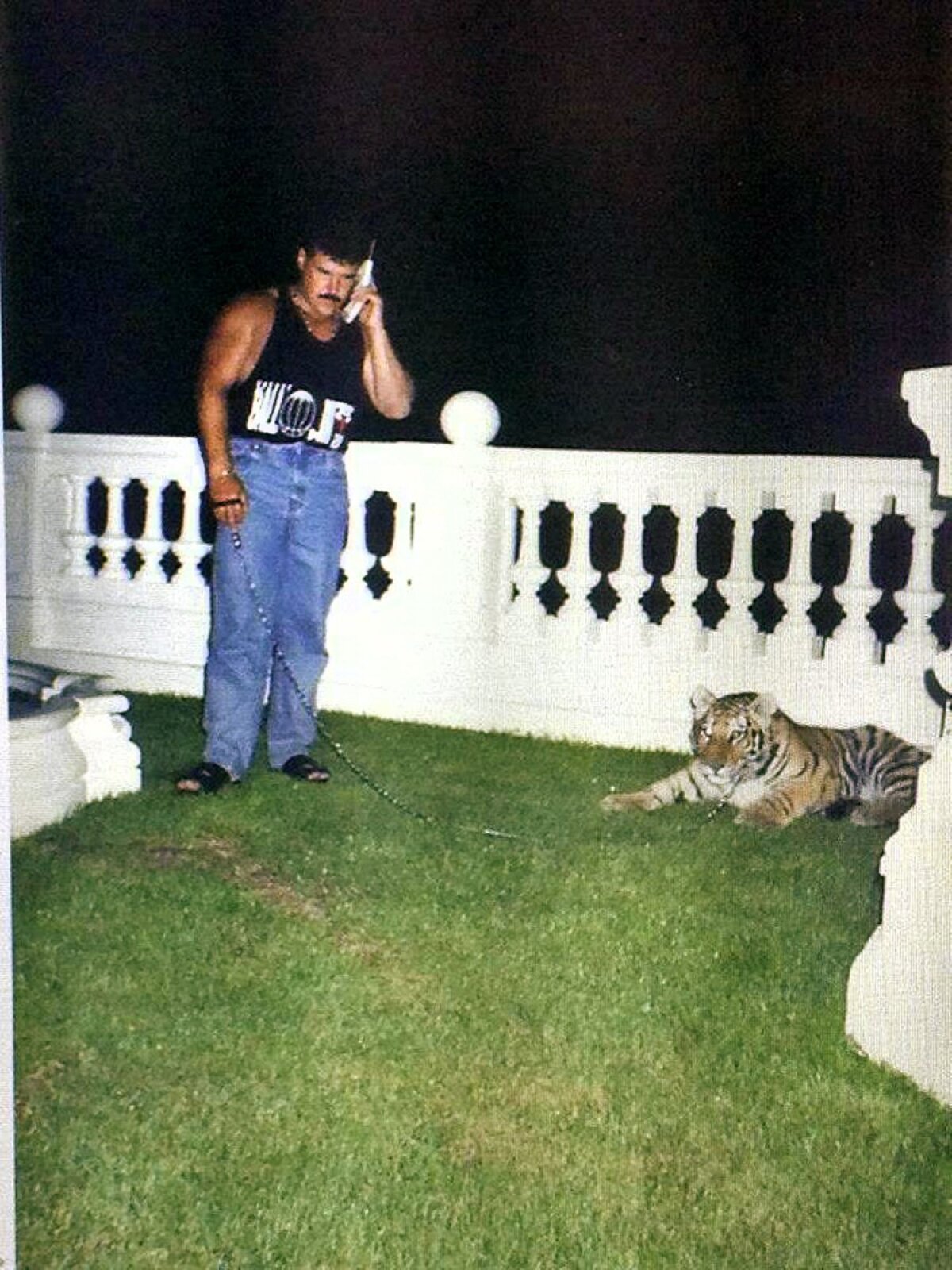 cernak tiger telefon