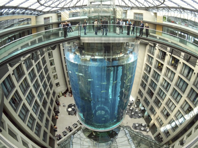 AquaDom