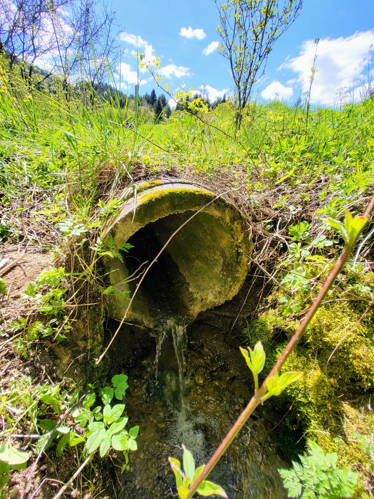 voda, pramenitá voda, potok, Rajec, Rajecká dolina, príroda