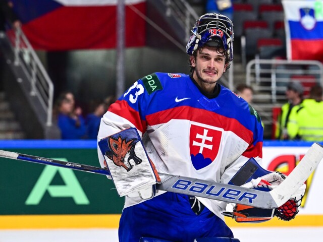 Škorvánek hokej