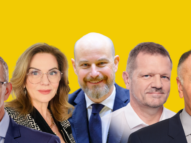 kolaz pol demdis2