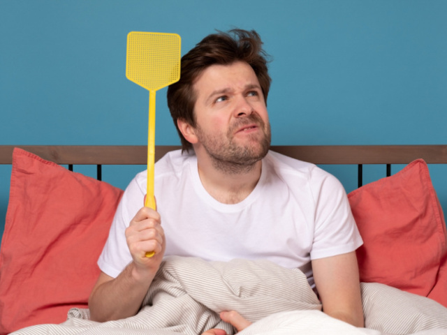 Mravce, muchy, komáre: Ako na dotieravý hmyz? Vyskúšajte to, čo máte v kuchyni