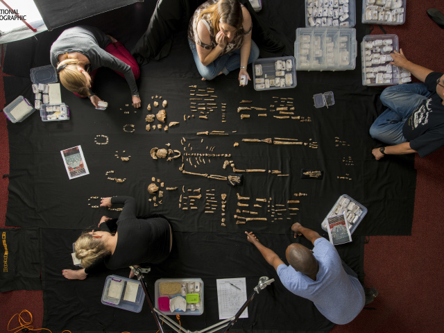 homo naledi, fosílie, kosti