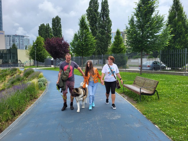 rodina Belicovcov, americká akita, Alex, DMO, APPkA
