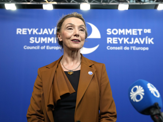 Marija Pejčinovičová Buričová, Rada Európy