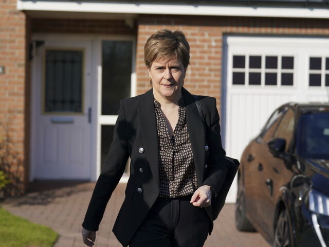 sturgeon