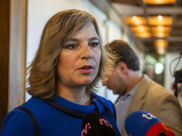vláda, PVV, hlasovanie, remišová