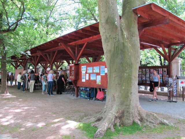letna citaren medicka4