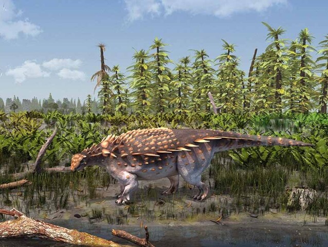 Vectipelta barretti, dinosaurus