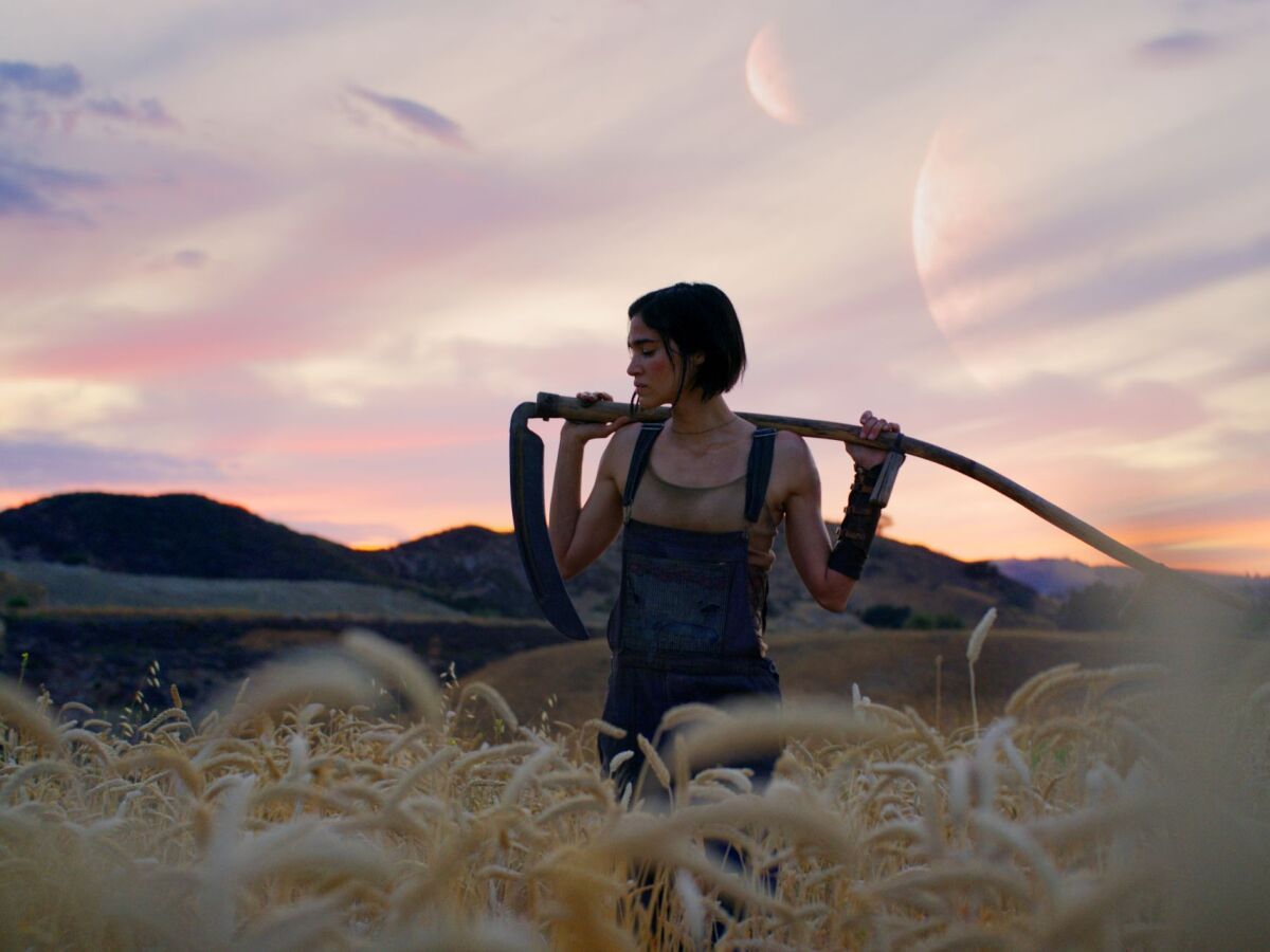 Rebel moon,