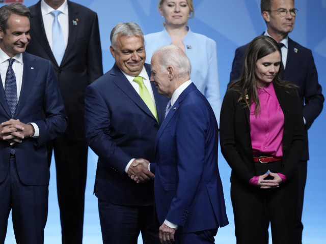 Litva, NATO, Orbán, Biden, Summit