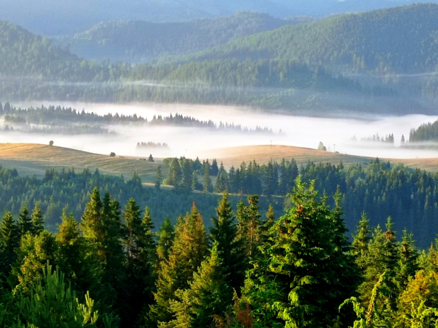 Šumiac