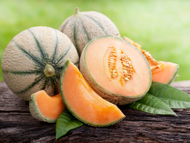 cukrový melón