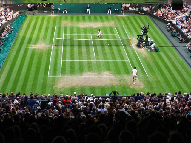 alcaraz, djokovič