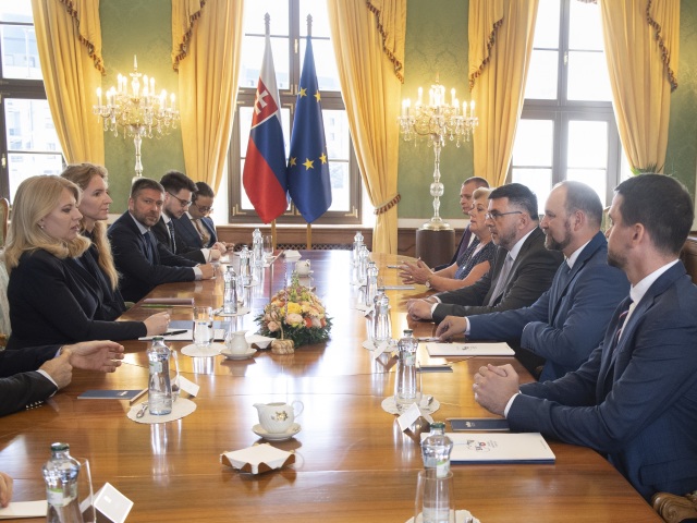 ZMOS, SK8 , čaputová, viskupič