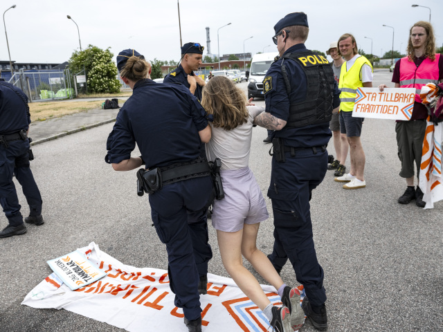 protest, greta thunbergová