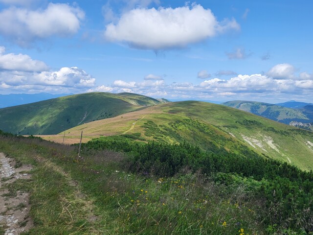 Veľká Fatra, Krížna