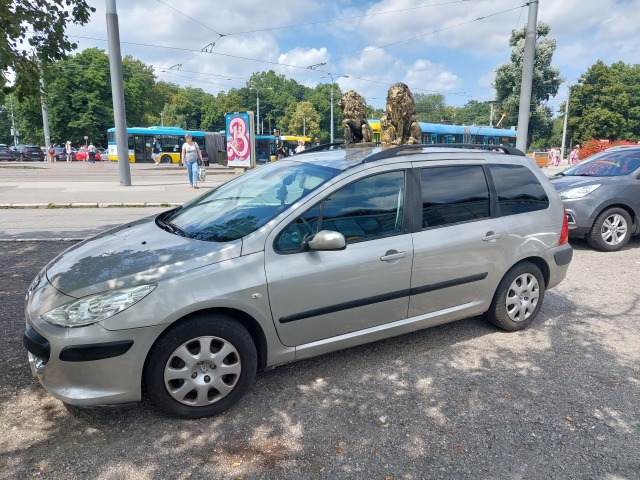 Auto s levom na streche 2