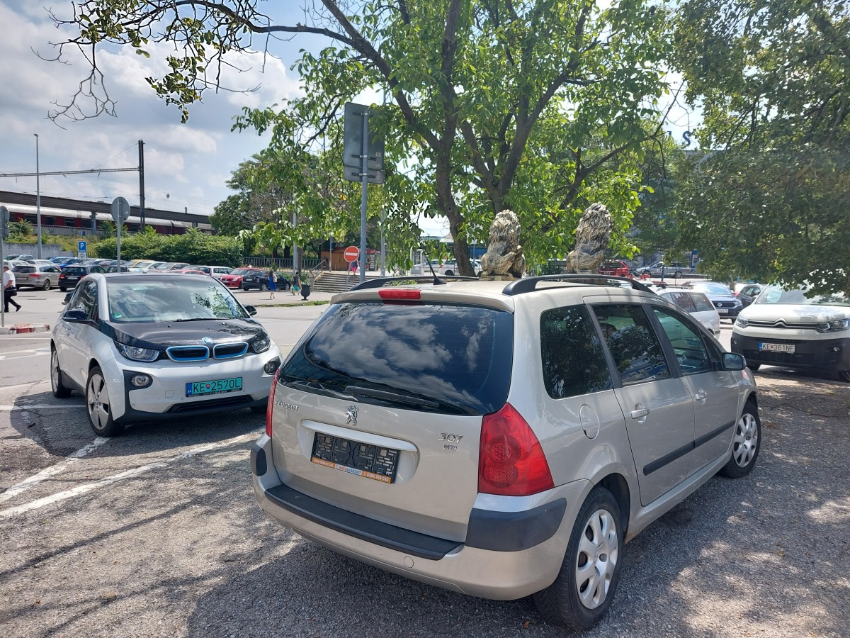 Auto s levom