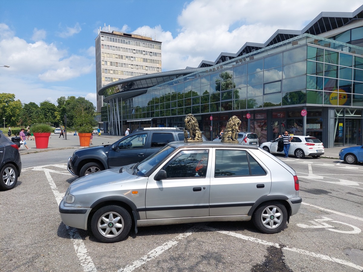 Auto s levom na streche 1
