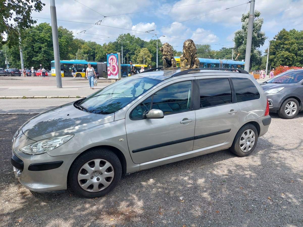 Auto s levom na streche 2
