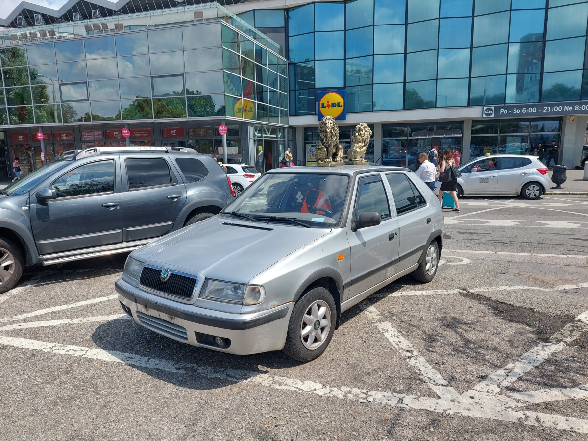 Auto s levom na streche