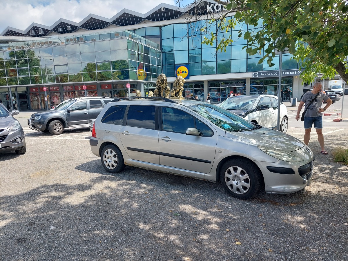 Auto s levom na streche