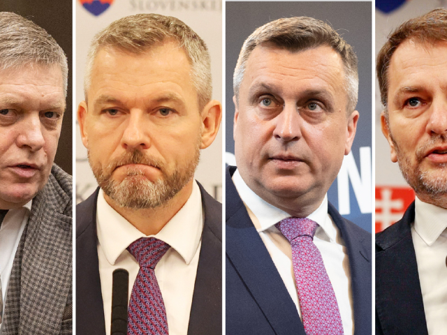 fico-pelle-danko-matovic