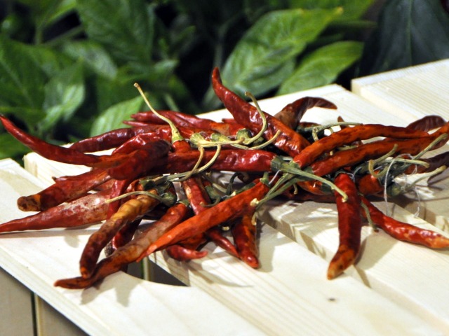 chili, čili papričky