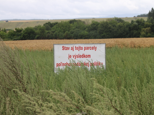 PPD Rybany Burina