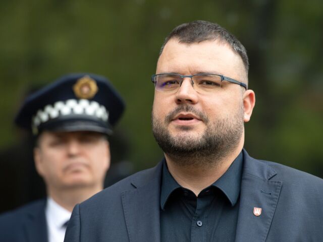kráľovič